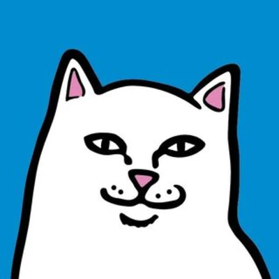 RIPNDIP logo