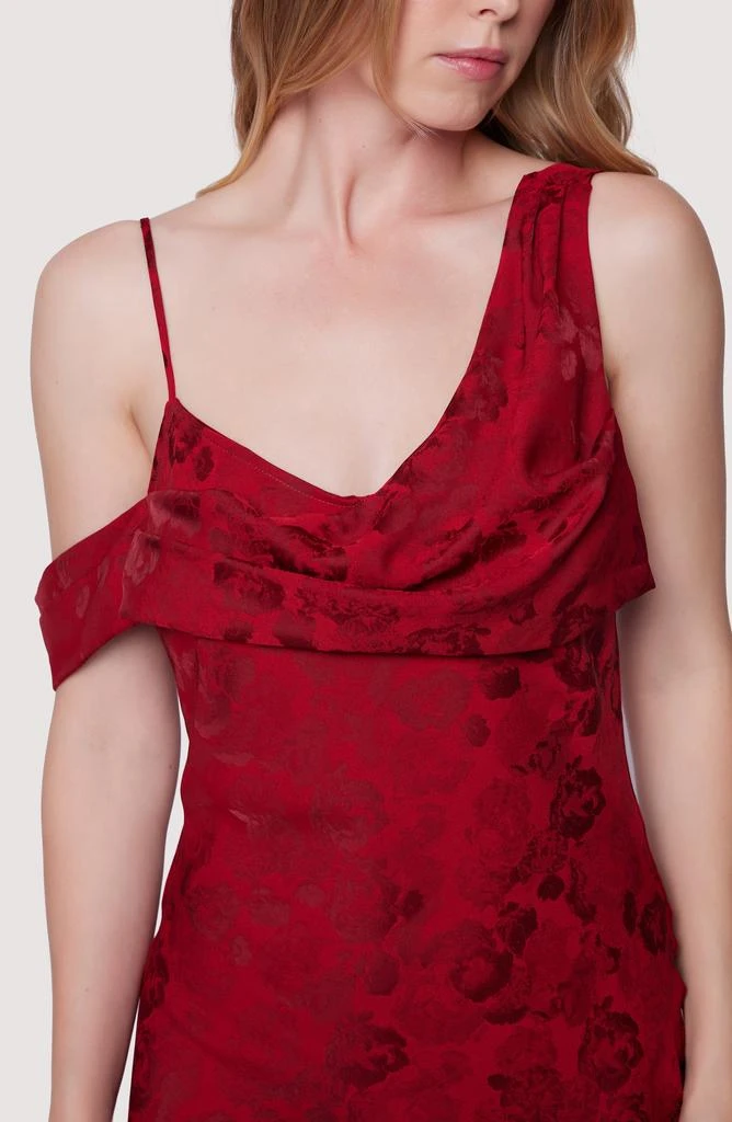 Lost and Wander Rouge Vine Maxi Dress 4