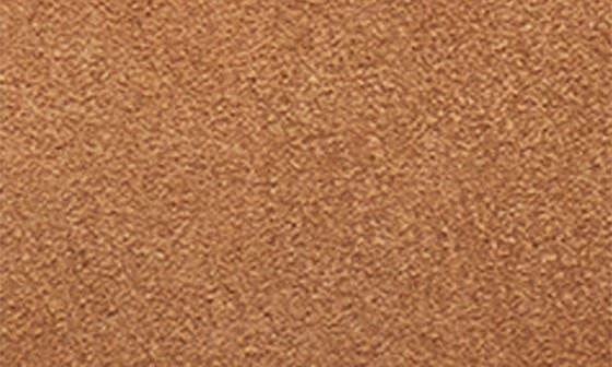 UGG Leisure Outdoor Suede UGGplush Slipper 2