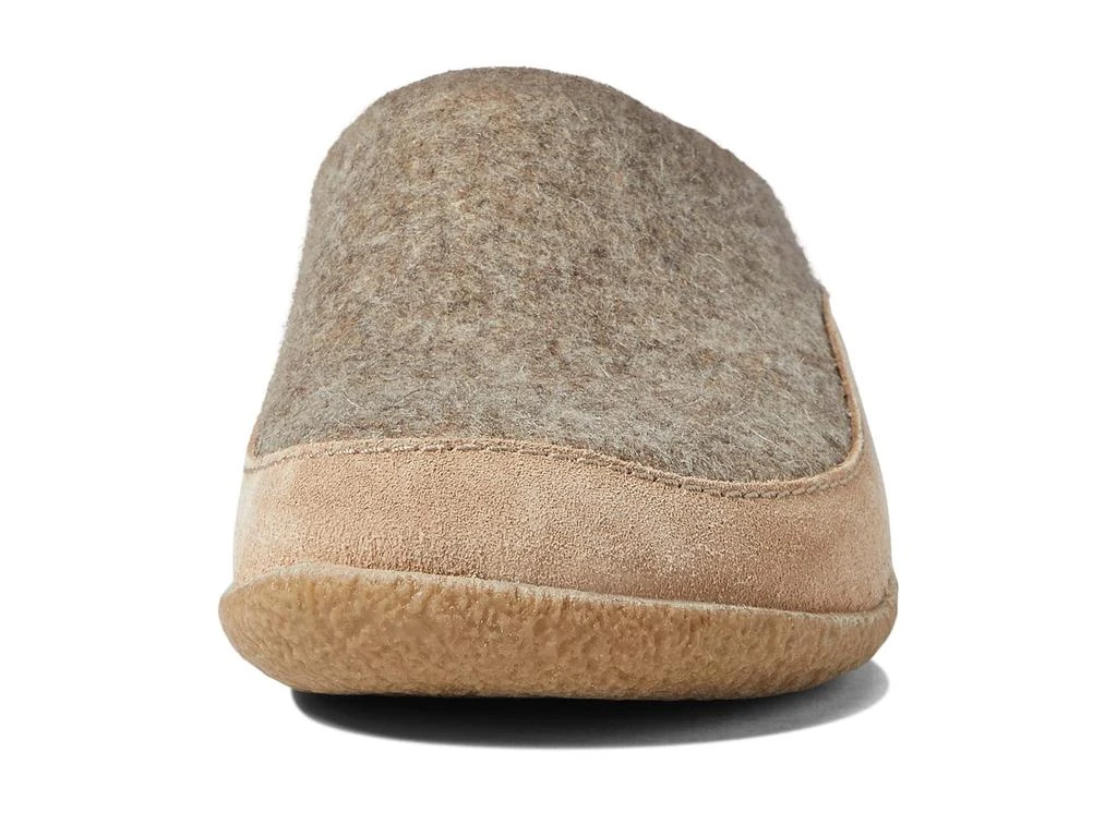 Haflinger Skane 6