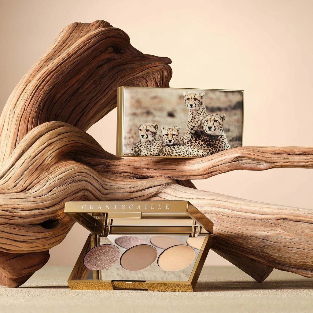 Chantecaille Chantecaille Cheetah Eye Trio 2.5g 6