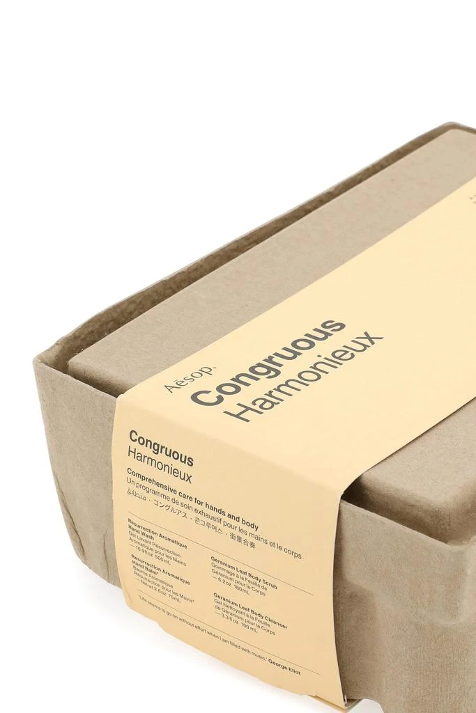 Aesop Congruous kit 1