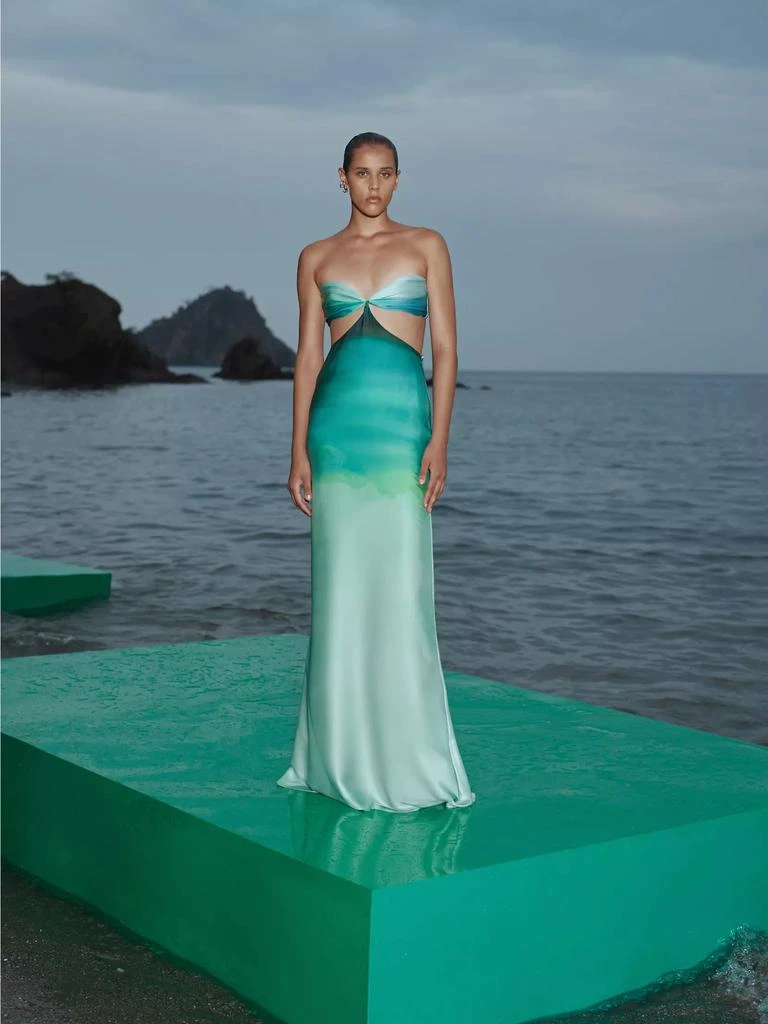 Baobab Islote Riri Ombré Strapless Maxi Dress 5