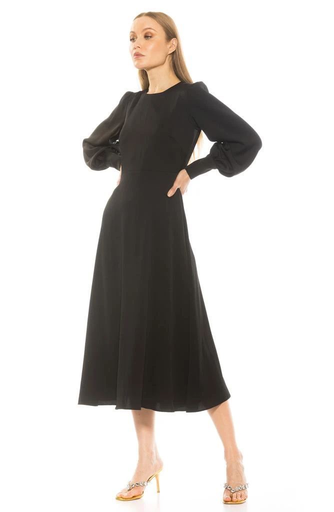 ALEXIA ADMOR Sophie Long Sleeve Fit & Flare Maxi Dress 5