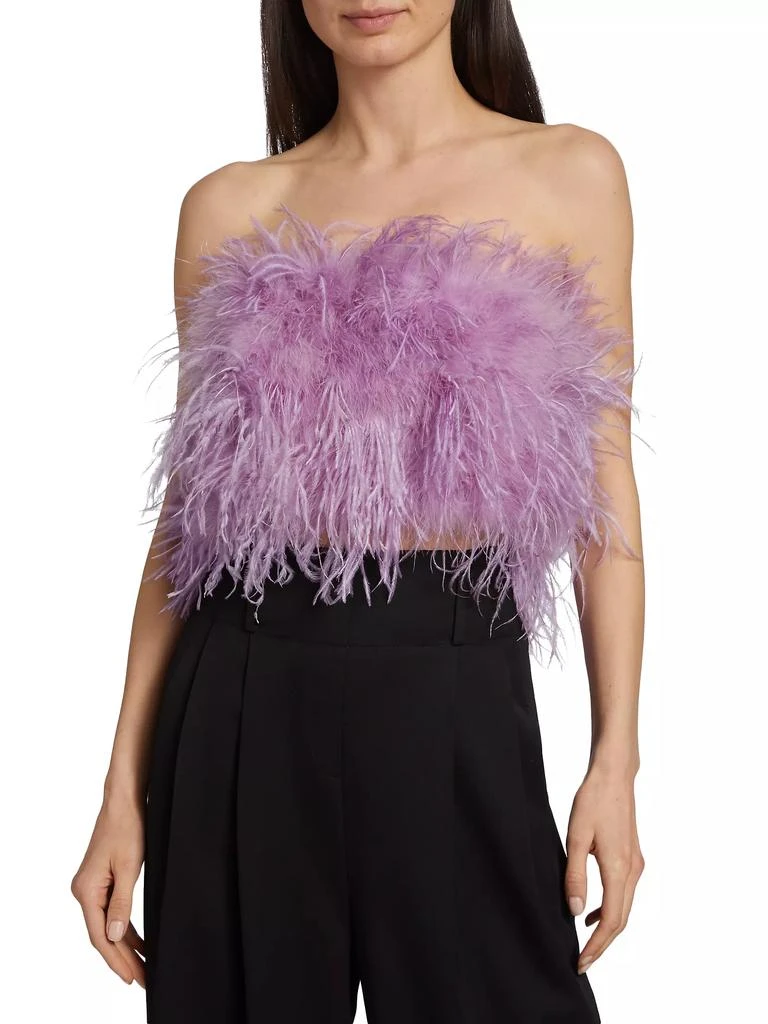LaMarque Zaina Feather Bustier Top 3