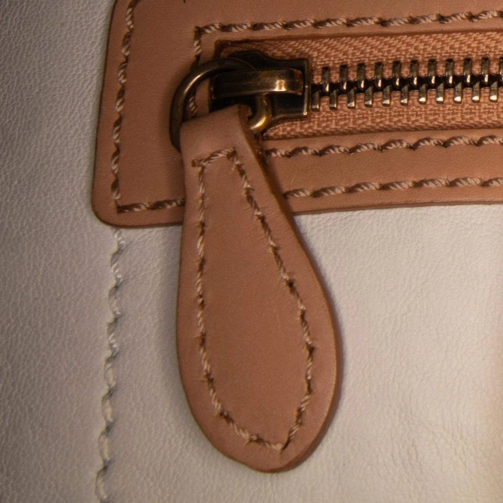 Celine Celine Multicolor Micro Tricolor Luggage Tote 9