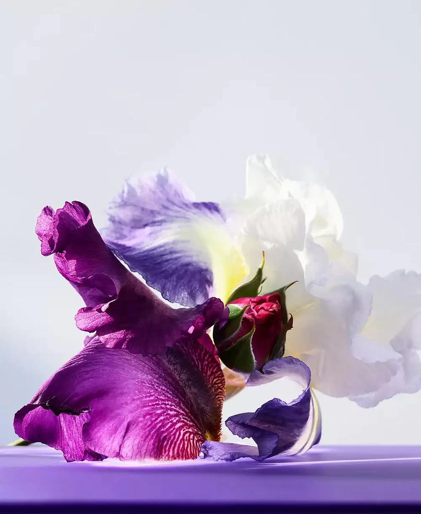 BVLGARI Omnia Amethyste Eau de Toilette, 3.4 oz. 7