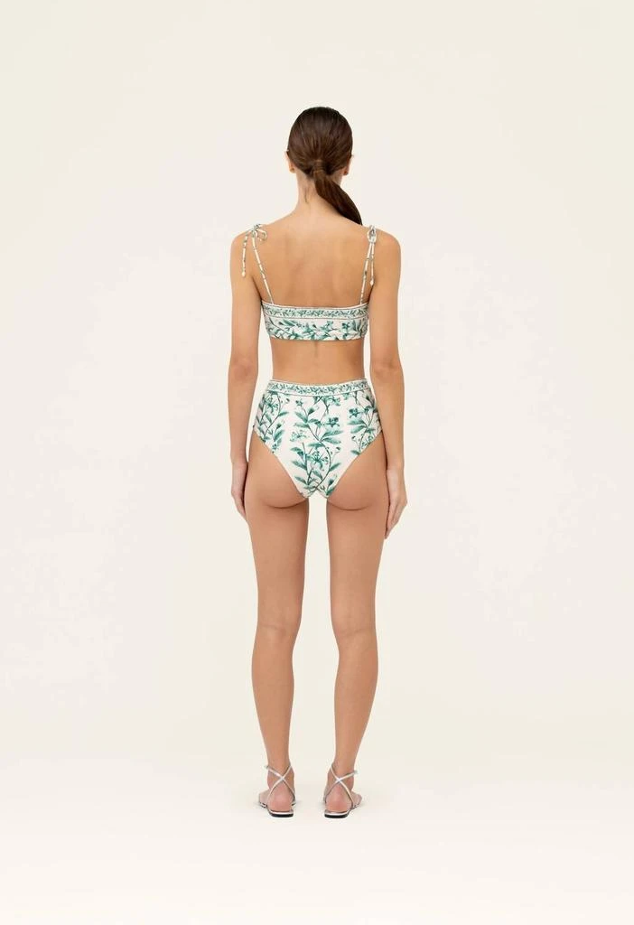 Agua by Agua Bendita Magenta Ceiba Bikini Bottom In Green 2