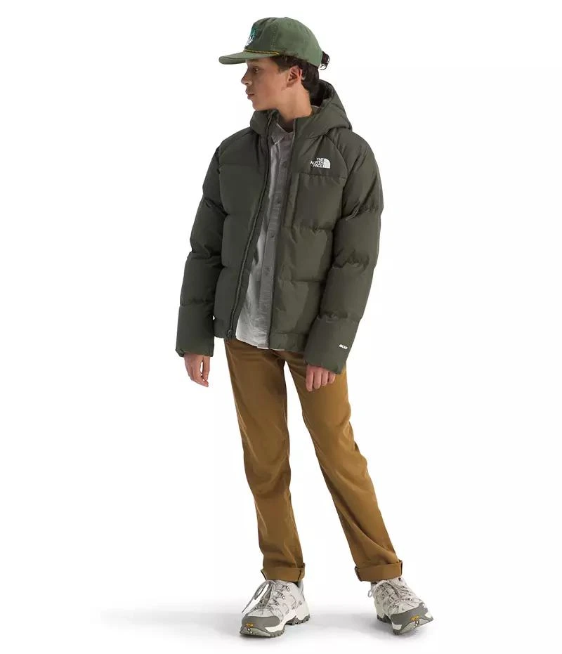 The North Face The North Face Boys
 North Down Hooded Jacket 2