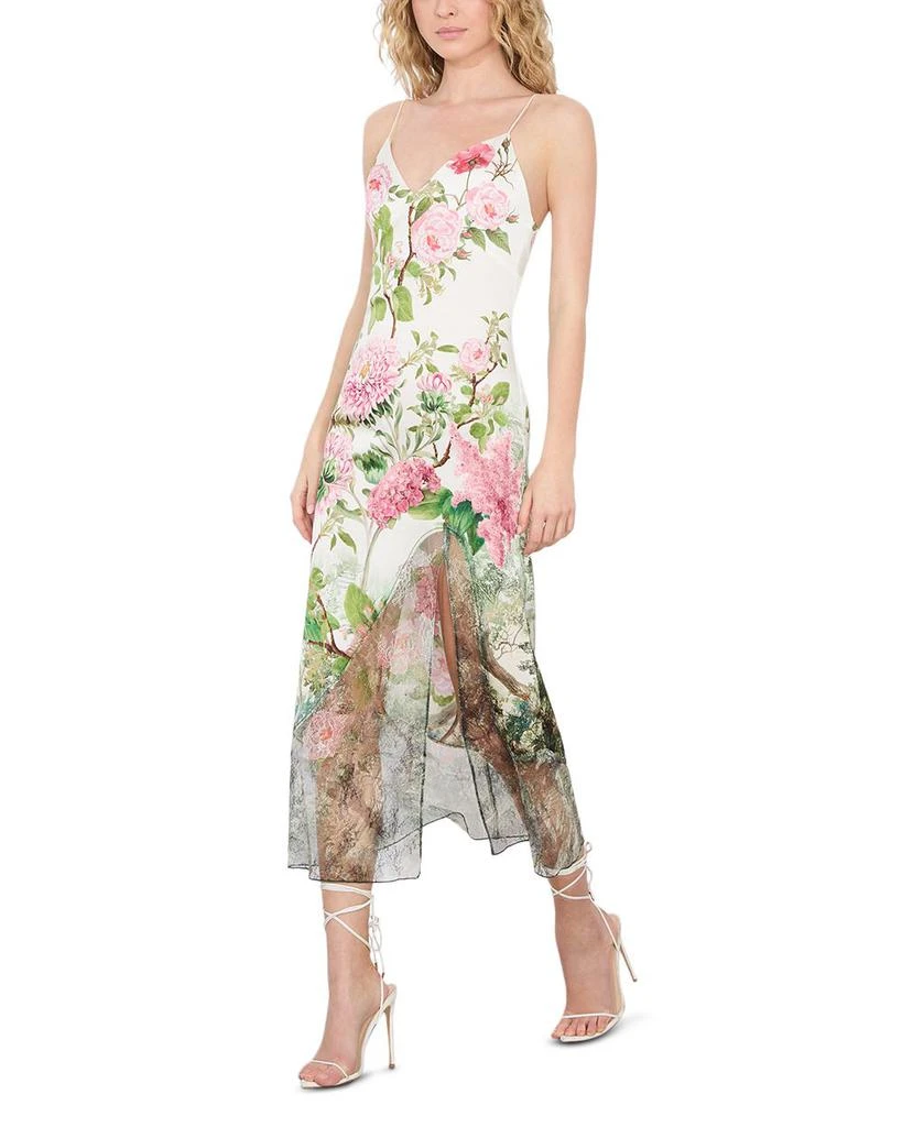 Alice + Olivia Julietta Cutaway Lace Trim Dress 3