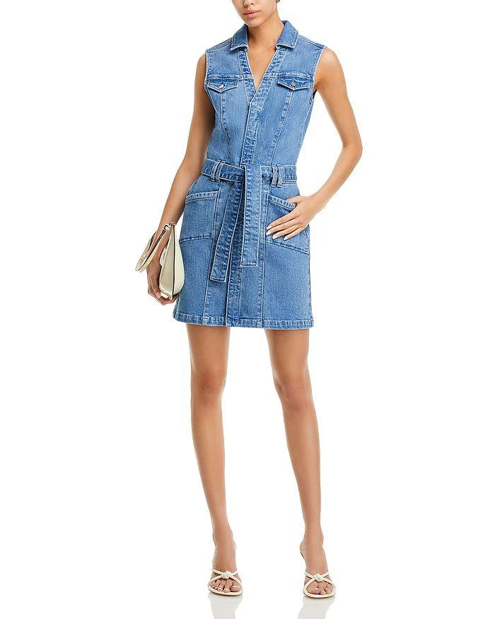 Paige Kelsee Self Tie Mini Dress 3
