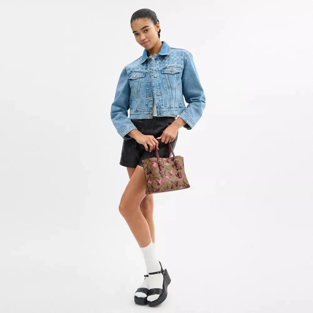 Coach Mollie Tote Bag 25 In Signature Canvas With Cherry Print 3