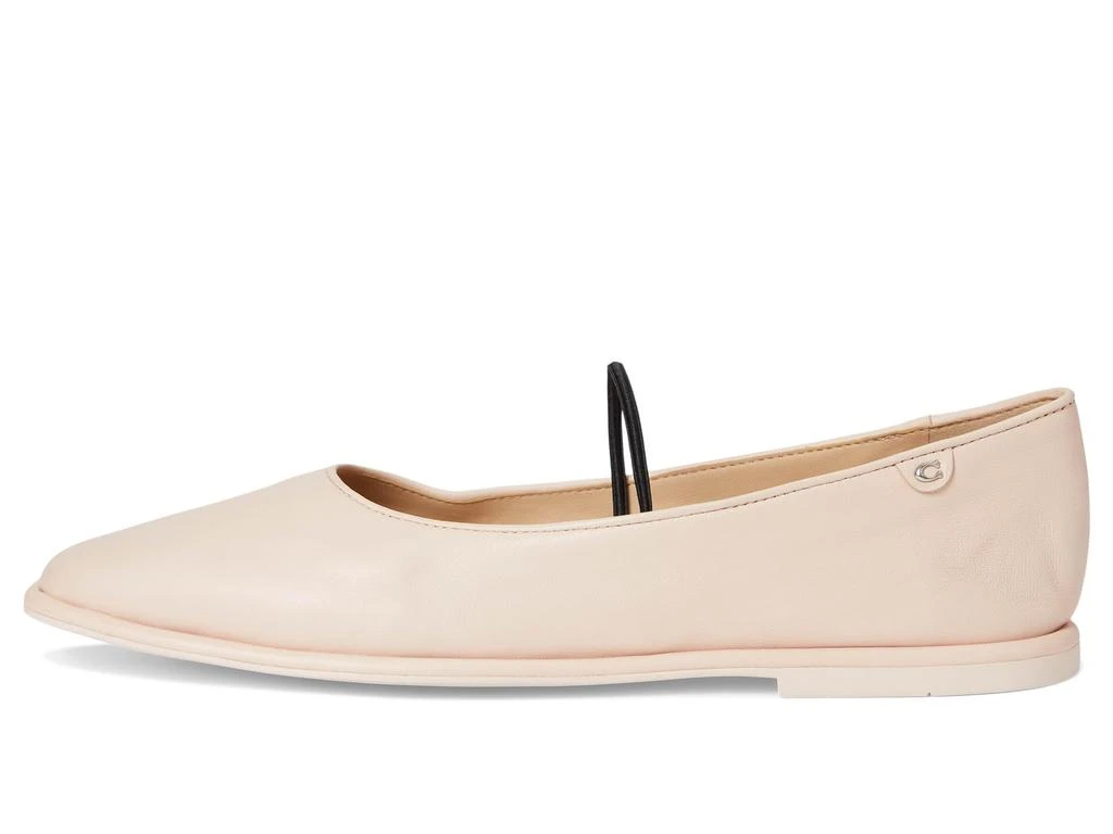 Coach Emilia Mary Jane 4