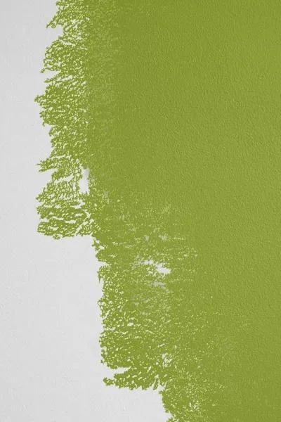 Backdrop Backdrop Standard Finish Paint - 1 Gallon 2