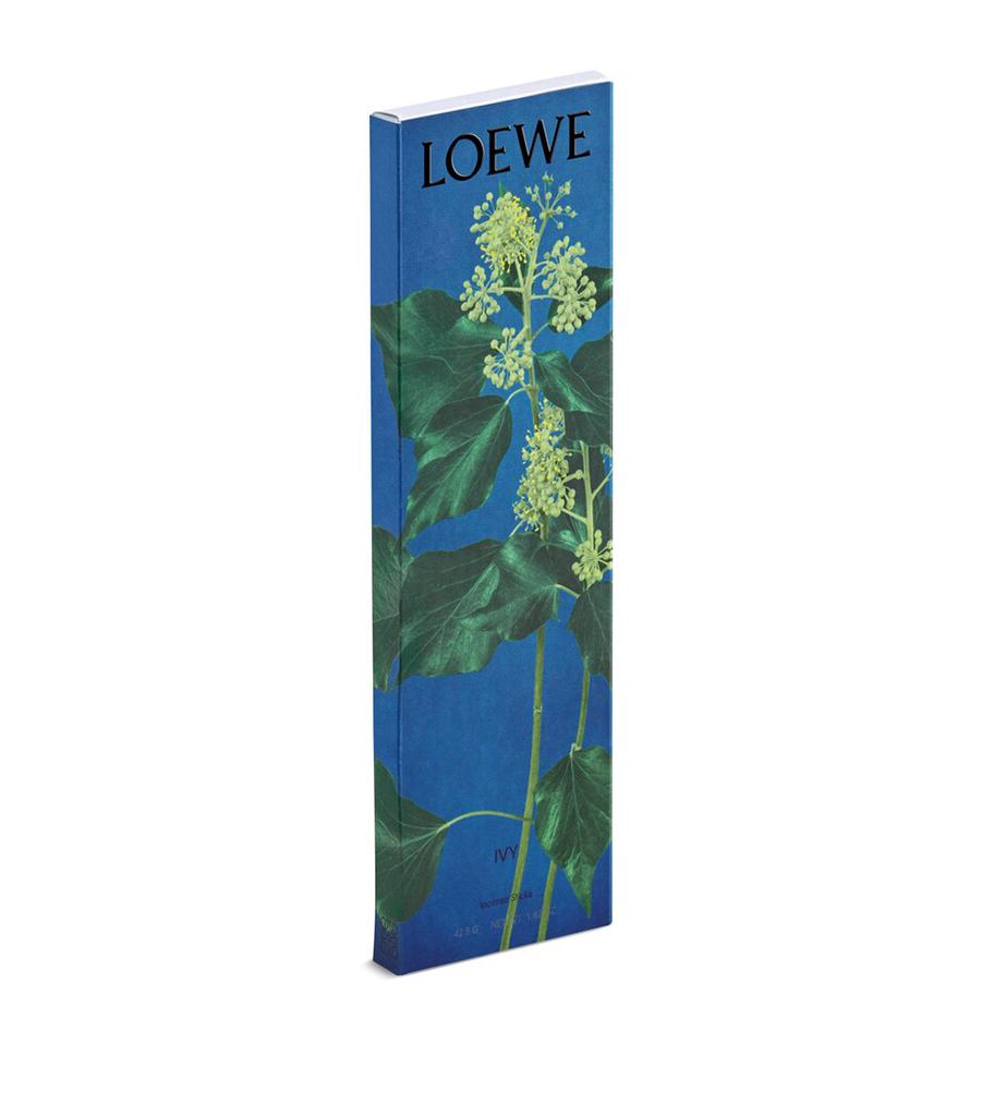 Loewe Tomato Leaves Incense Refill - Thumbnail 3