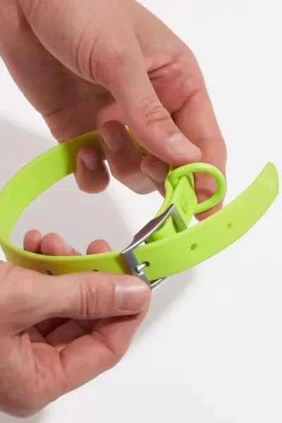 Wild One Wild One Dog Collar 4