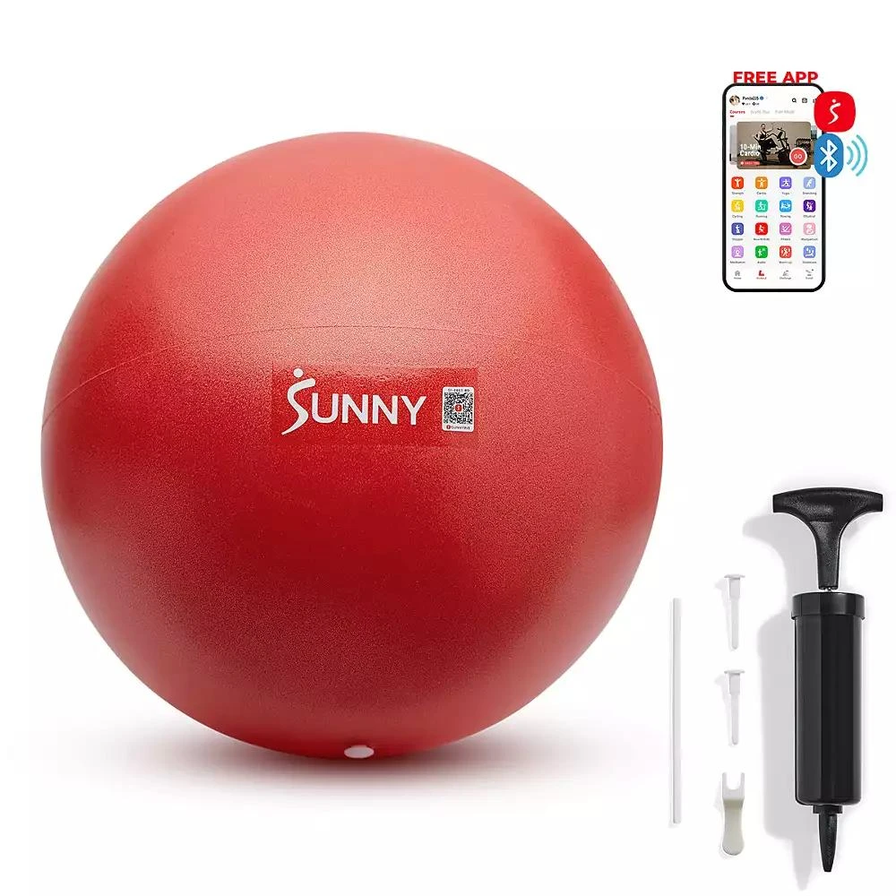 Sunny Health 
Fitness Premium 9" Mini Exercise Ball, Extra Thick Anti-Burst PVC, Non-Slip 
Odorless 1
