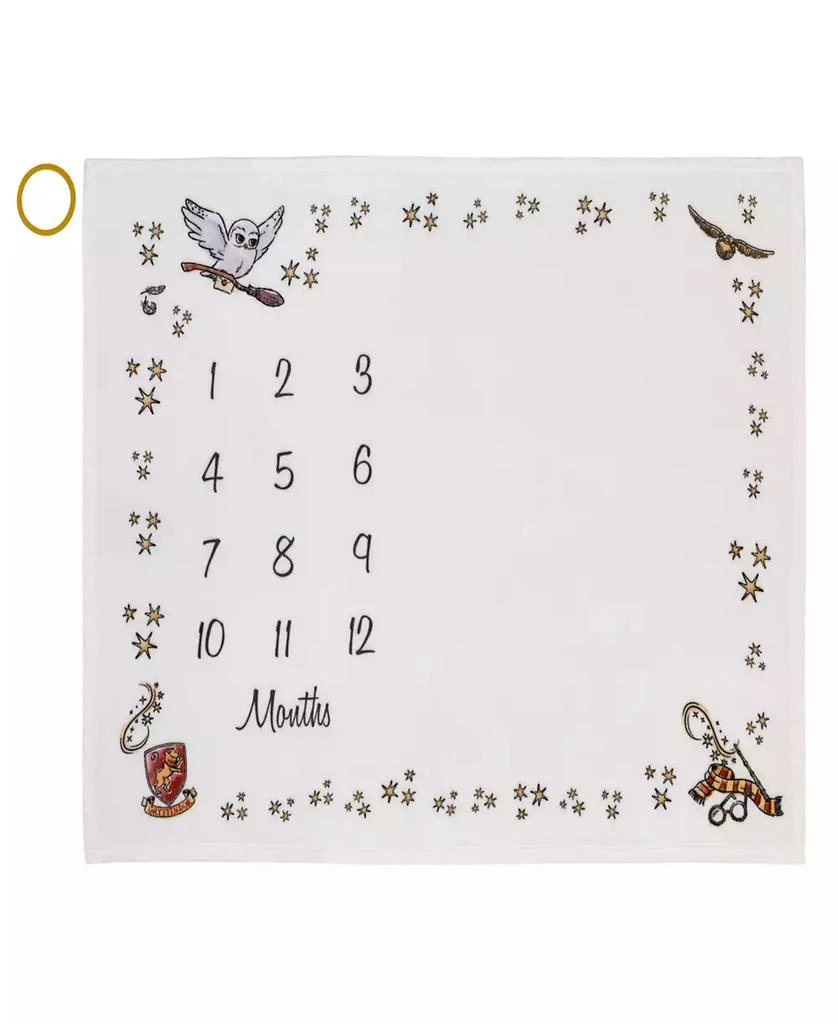 Warner Brothers Harry Potter Milesto 1