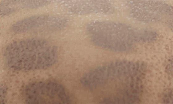 Carter
s Kids
 Mae Mary Jane 8