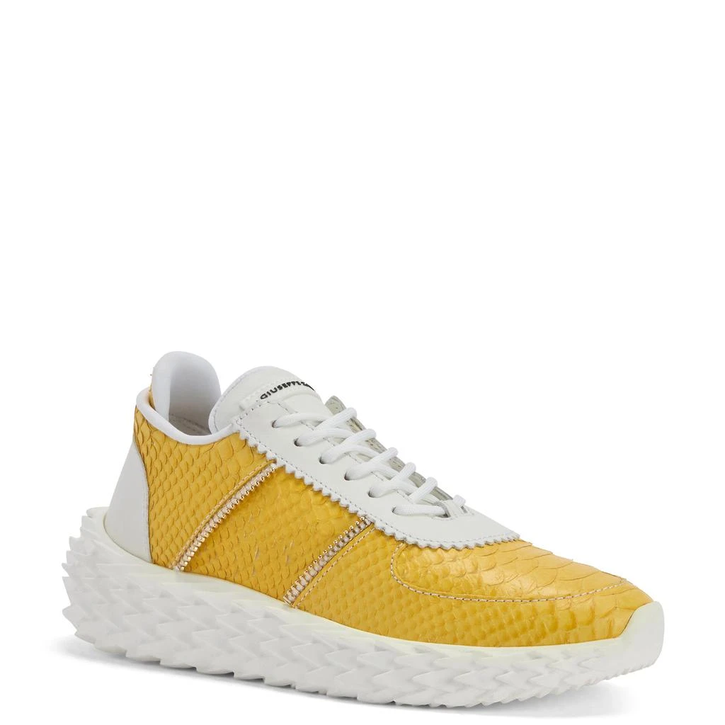 Giuseppe Zanotti Urchin 2