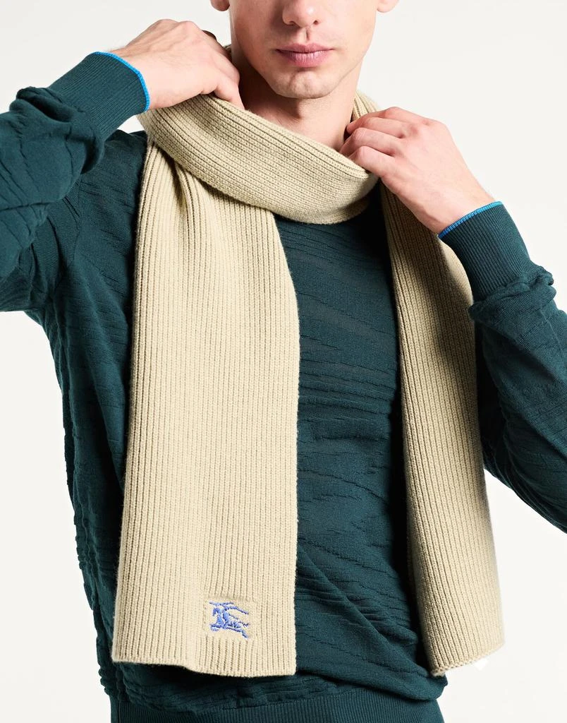 Burberry Scarves and foulards 2