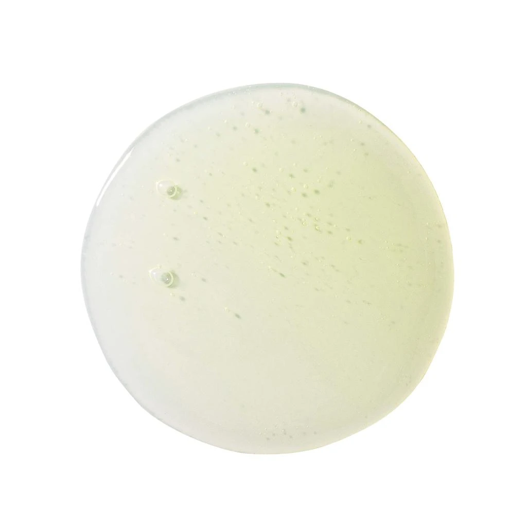 KLORANE KLORANE Shampoo with Citrus Pulp 13.5 fl. oz 2