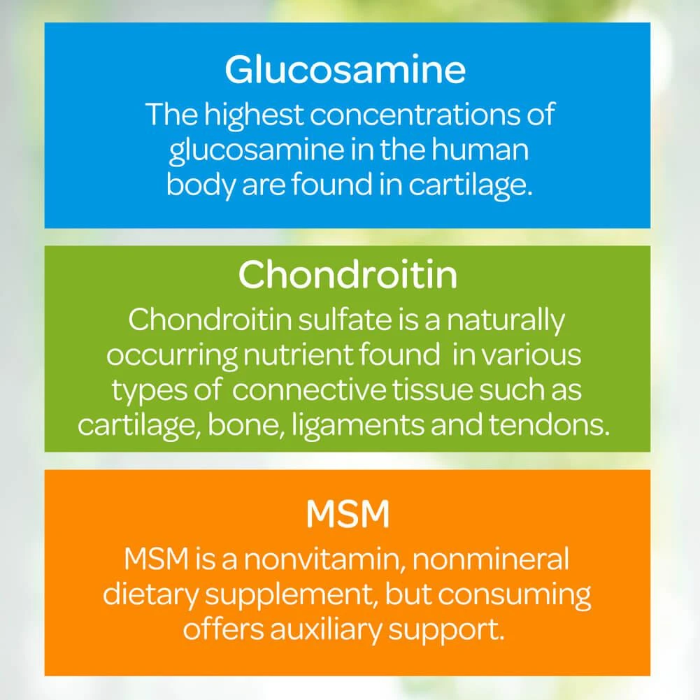 Puritan's Pride 3X Strength Glucosamine Chondroitin Vit D3 3