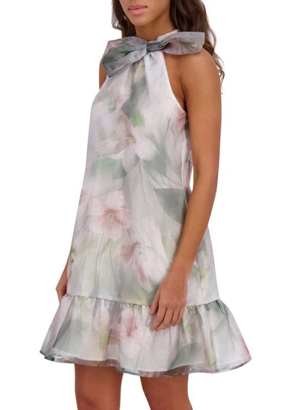 Kensie Floral Organza A-Line Minidress 3
