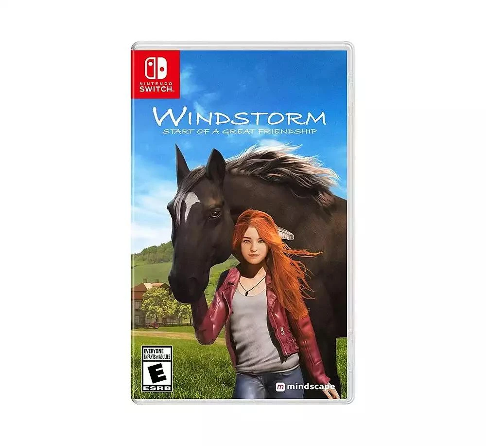 Maximum Games WINDSTORM START OF A GREAT FREINDSHIP - SWITCH 4