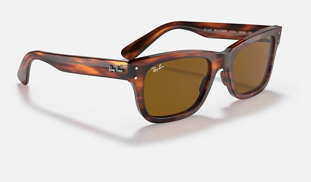 Ray-Ban BURBANK 6