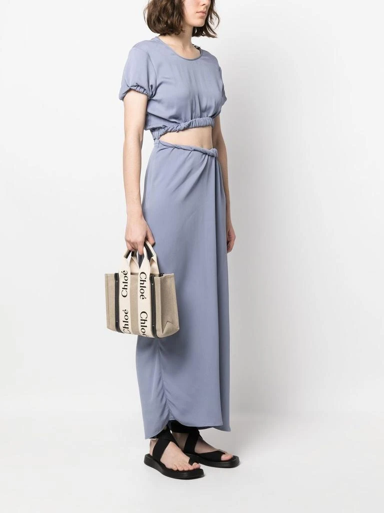 Chloé WOODY SMALL CANVAS TOTE 2