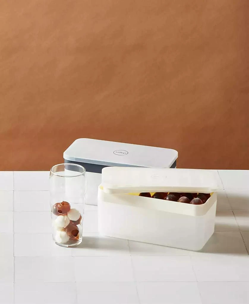 W&P w&p Set of 4 Polypropylene and Silicone Ice Ball Box 4