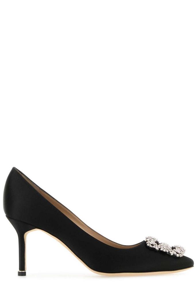 Manolo Blahnik Manolo Blahnik Hangisi Pointed-Toe Pumps