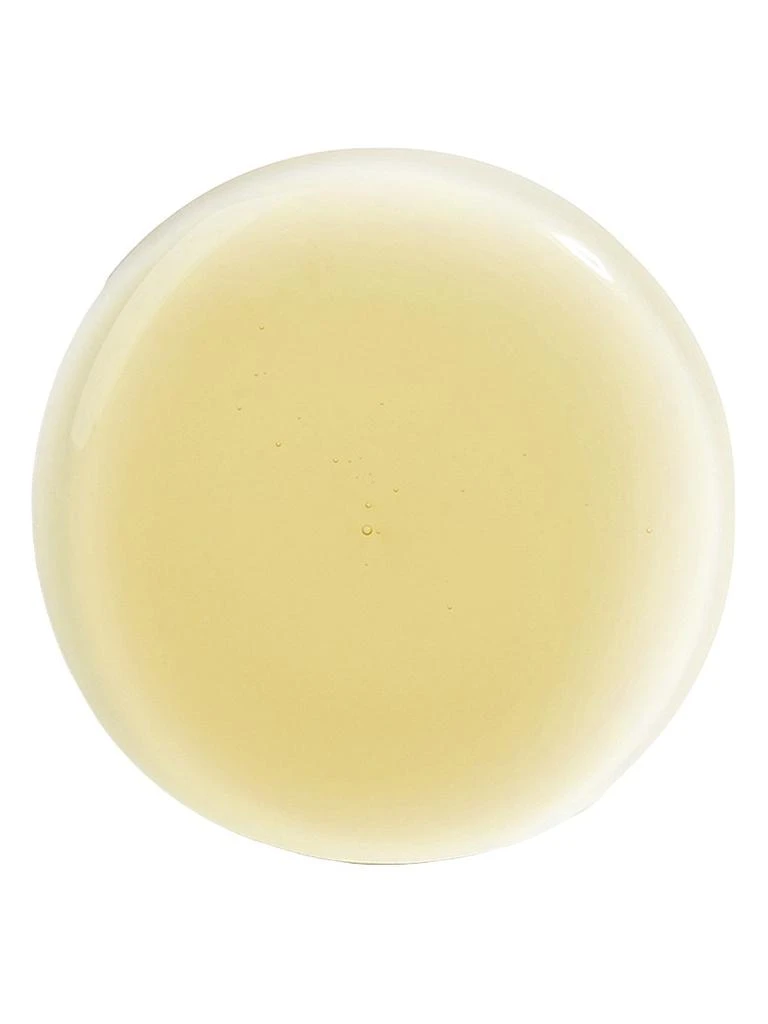 Sisley Hair Rituel Revitalizing Straightening Shampoo 2