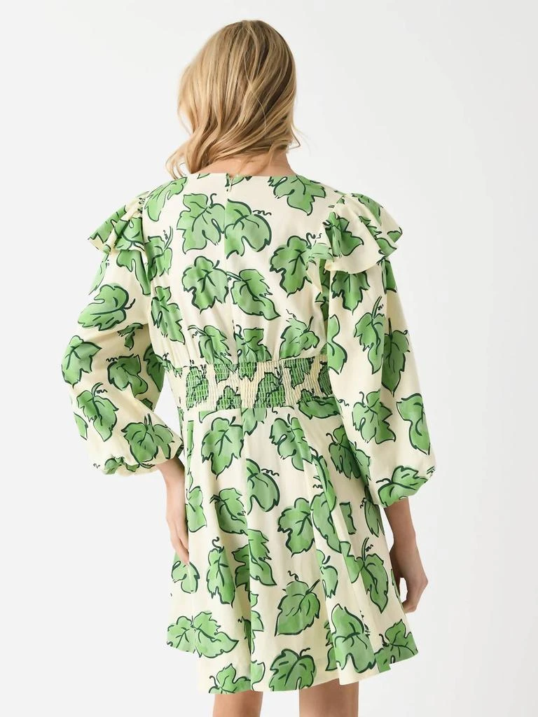 Kitri Cordelia Mini Dress In Green Vine Leaf Print 3