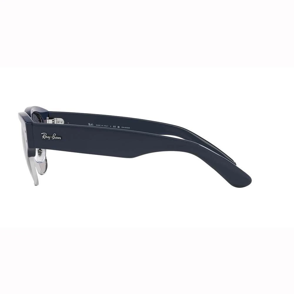 Ray-Ban Ray-Ban Browline Frame Sunglasses 4
