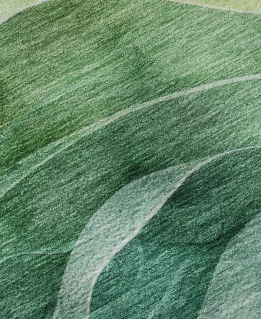 Dalyn Pacifica Washable PA4 2
3"x7
6" Runner Area Rug 3