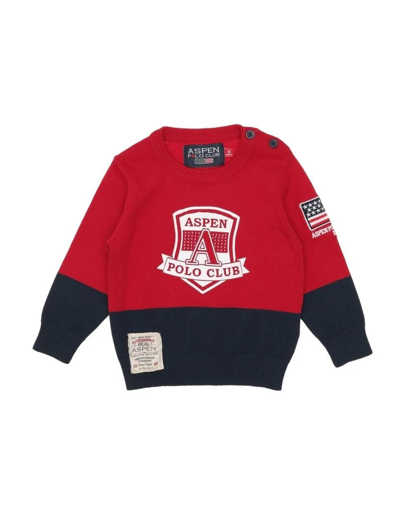 ASPEN POLO CLUB Sweater