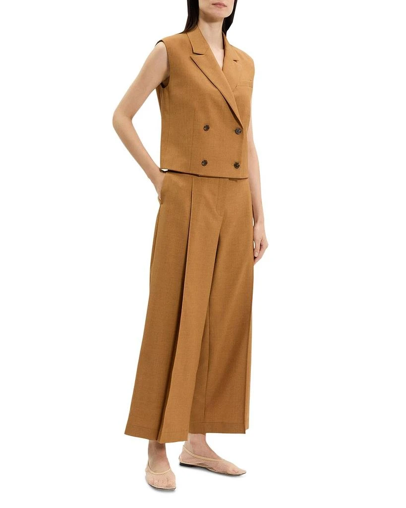 Theory Deep Pleated Pants 5