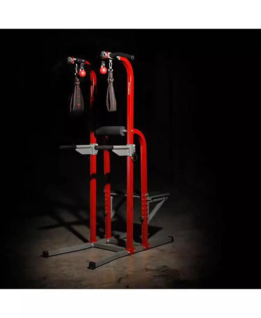 Stamina Products Stamina X Fortress Power Tower Home Gym Pull Up Fitness Workout Station 2