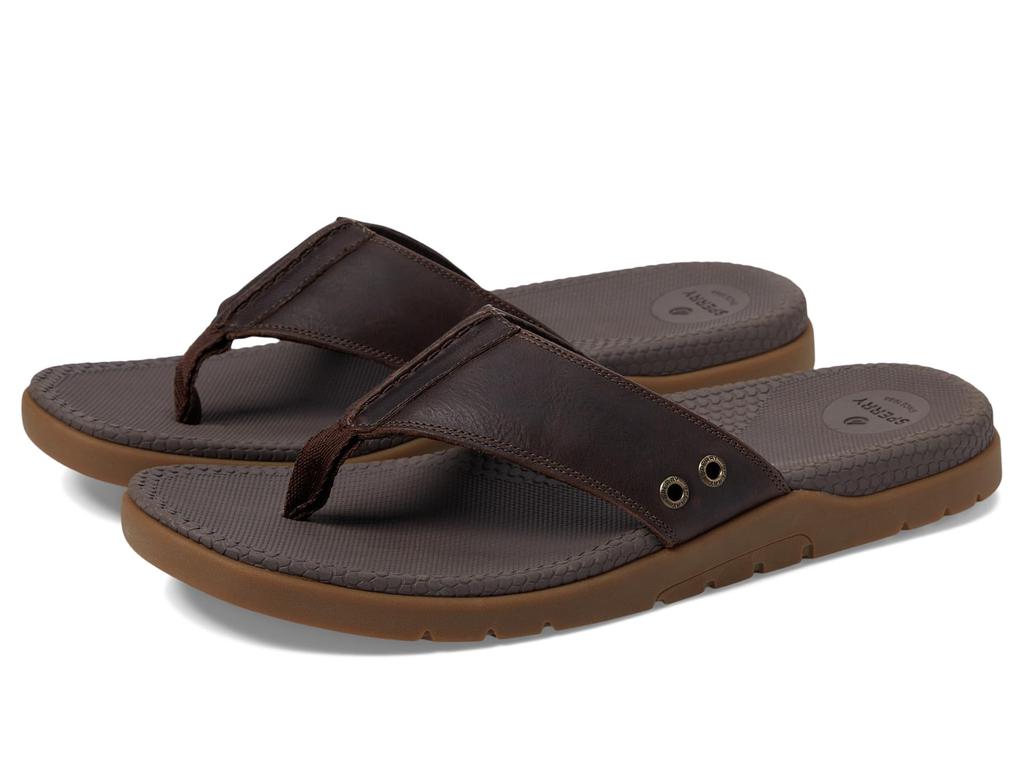 Sperry santa cruz online