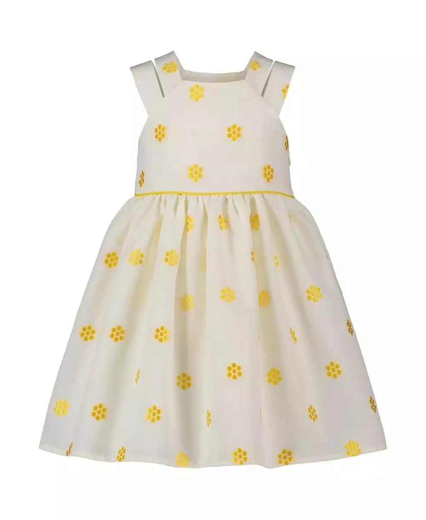 Blueberi Boulevard Toddler and Little Girls Fit-and-Flare Printed Dress 1