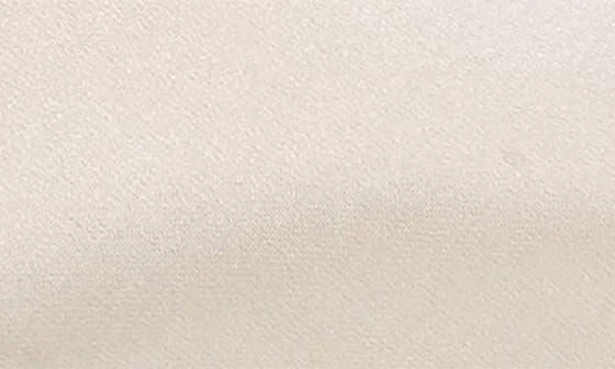 Sam Edelman Bonnie Slingback Pointed Toe Pump 10