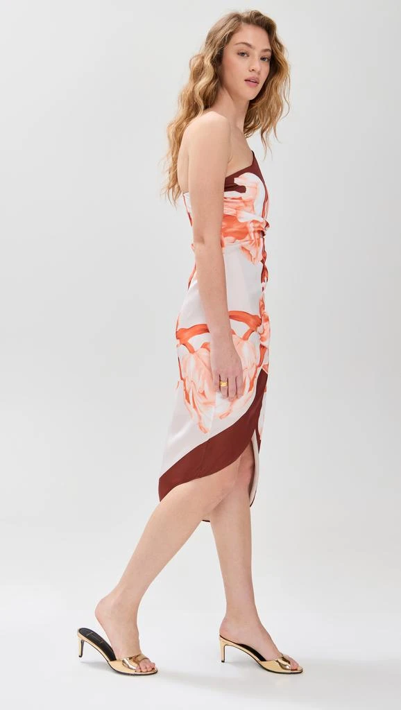 ROCOCO SAND Printed Midi Dress 3