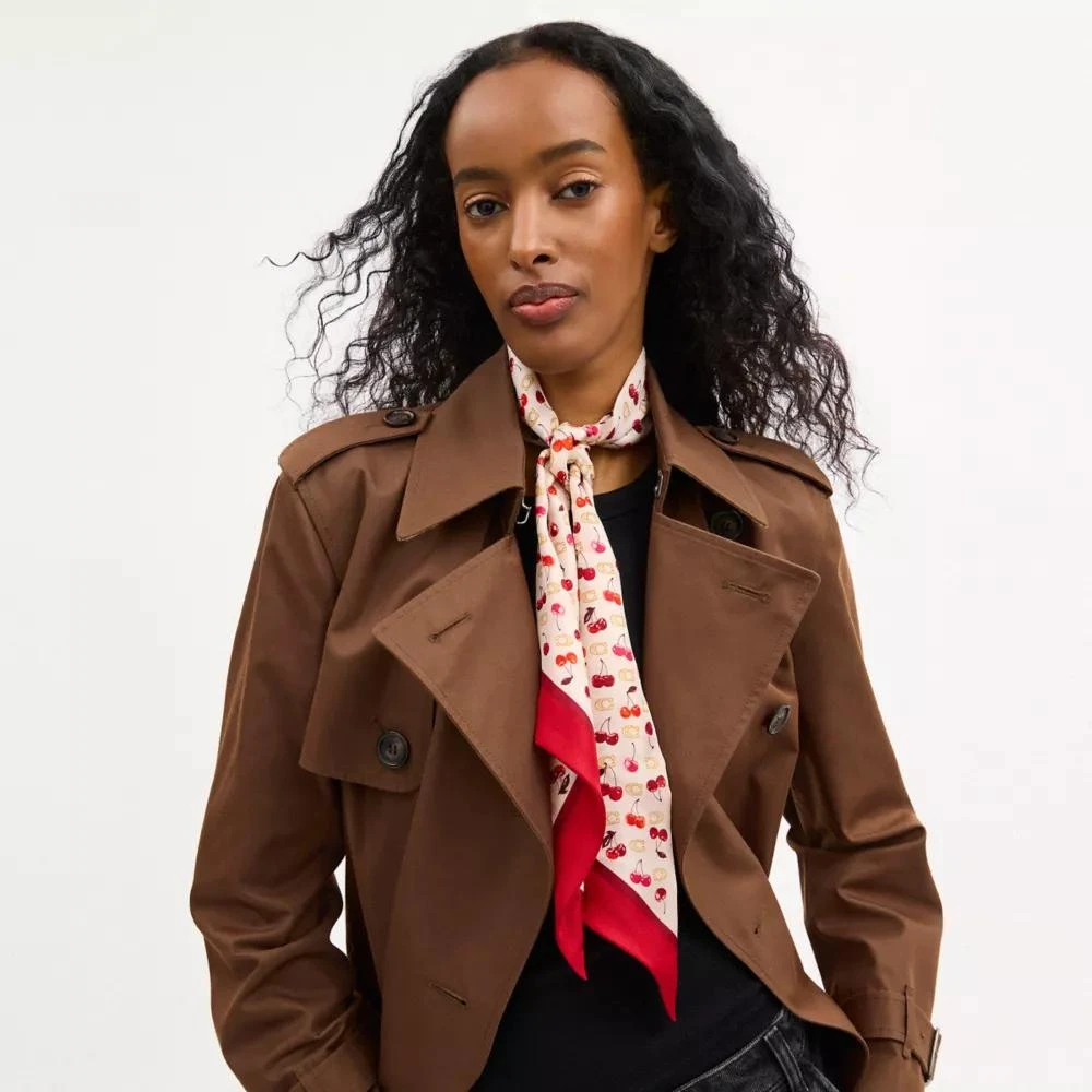 Coach Sculpted C Cherries Print Silk Wide Skinny Scarf 2