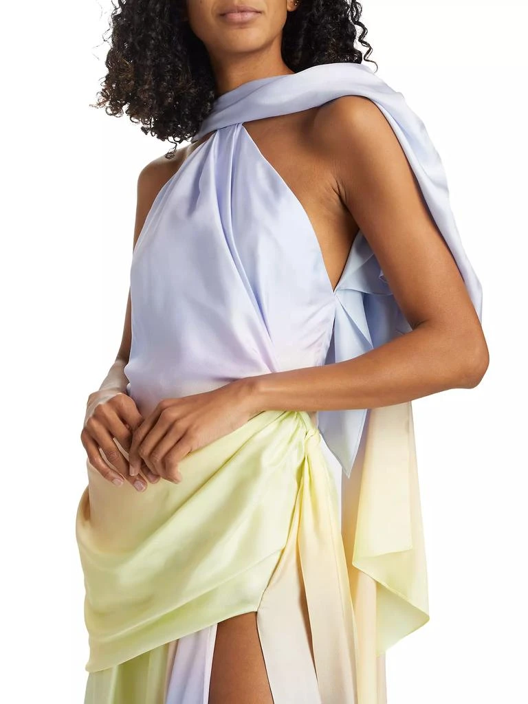 Zimmermann Harmony Silk Scarf Maxi-Dress - Dresses & Skirts - Compare  Prices from 6+ Stores - Free Shipping - BeyondStyle