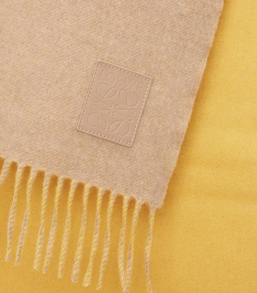 Loewe Wool-Cashmere Anagram Scarf 5