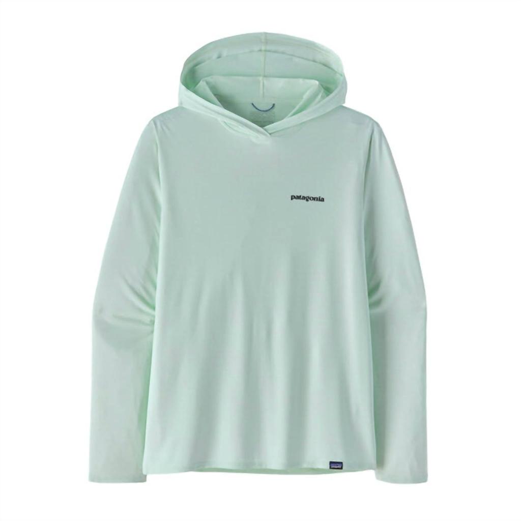 Patagonia Men's Cap Cool Daily Graphic Hoody Top In Wispy Green