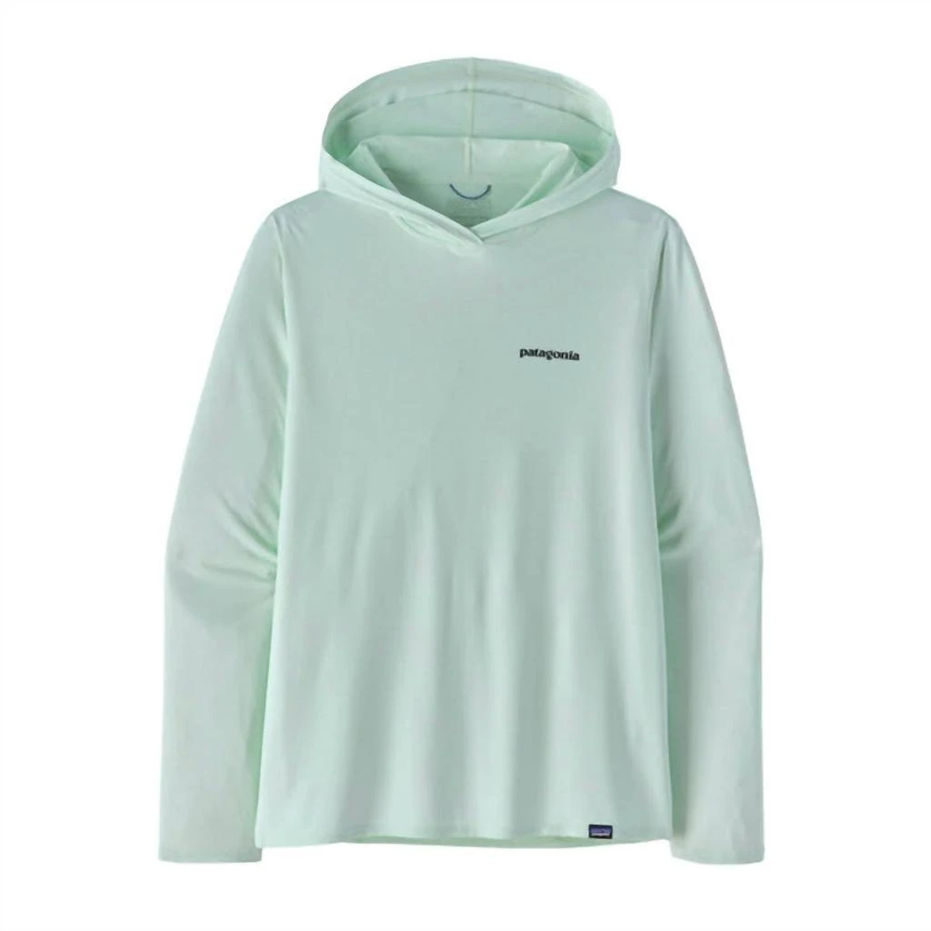 Patagonia Men's Cap Cool Daily Graphic Hoody Top In Wispy Green 1