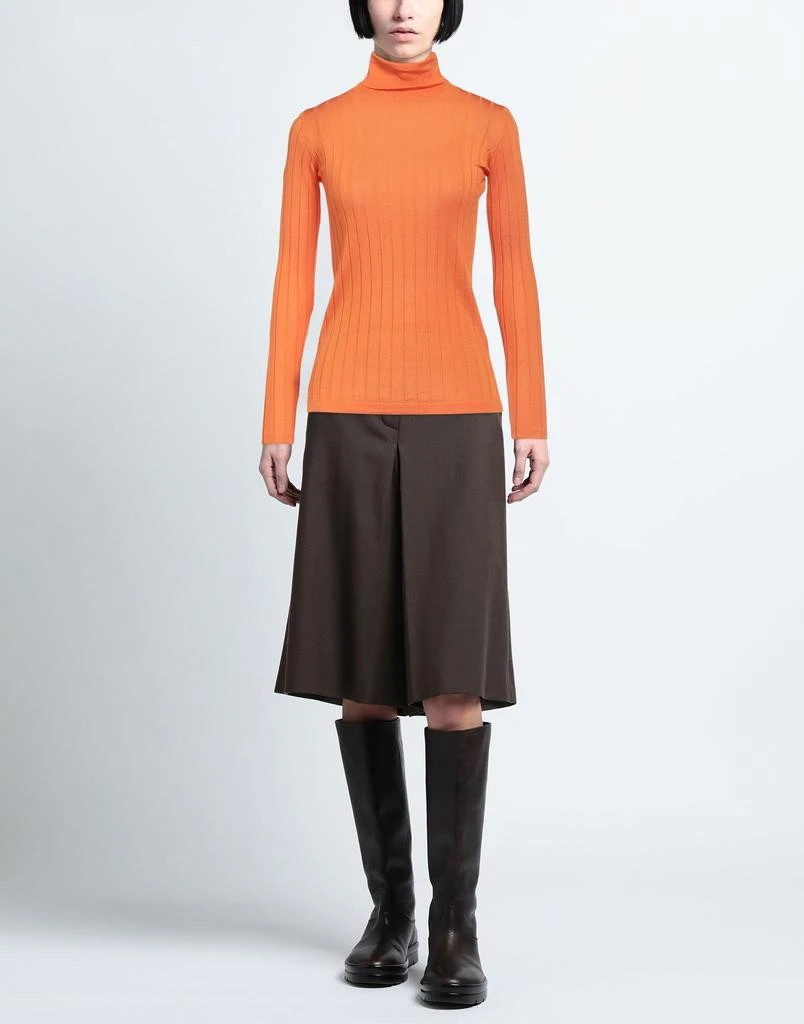 Aragona Turtleneck 2